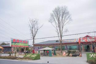 德阳最新爆料,揭秘城市背后不为人知的秘密  第3张